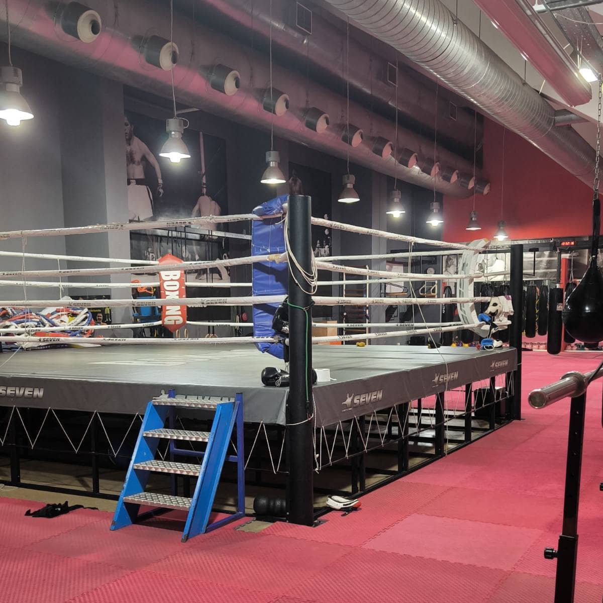 Αριστοτέλειο Πυγμαχικός Γ.Σ. | Περιστέρι