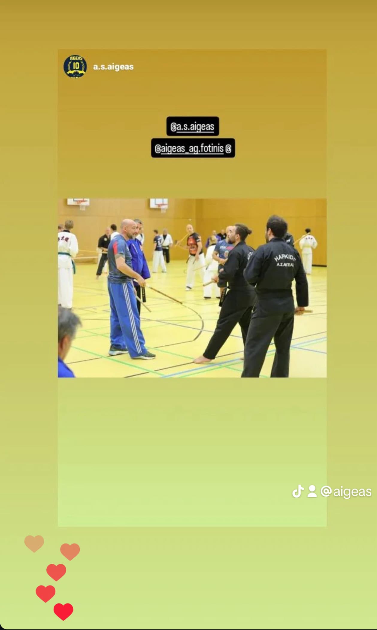 a-s-egeas-hapkido-nea-smyrni-sportshunter-1