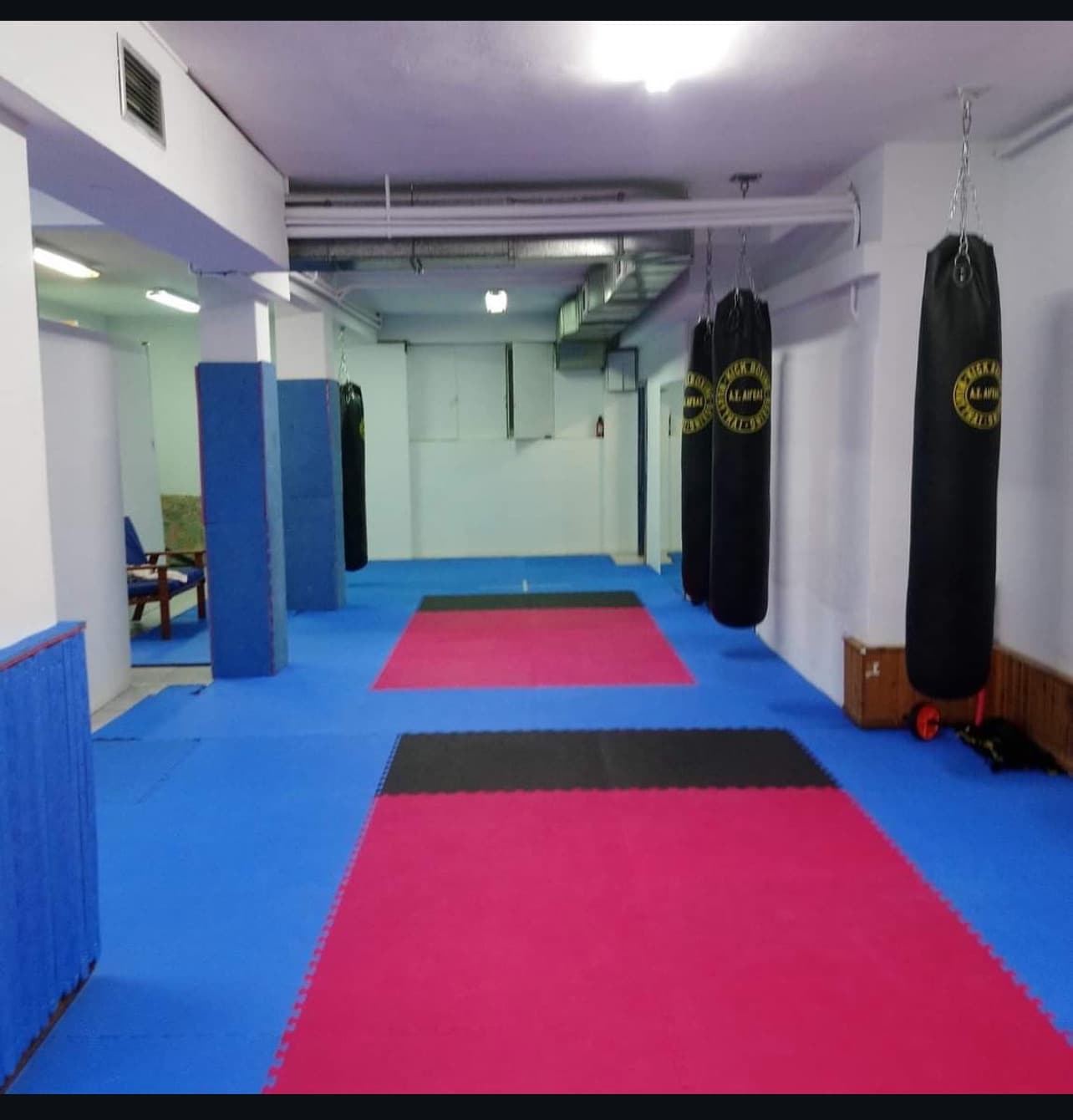 a-s-egeas-kick-boxing-nea-smyrni-sportshunter-3