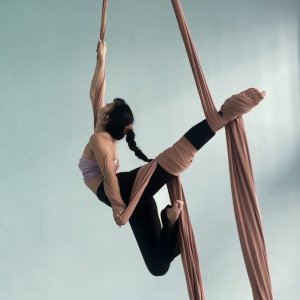 Aerial Arts