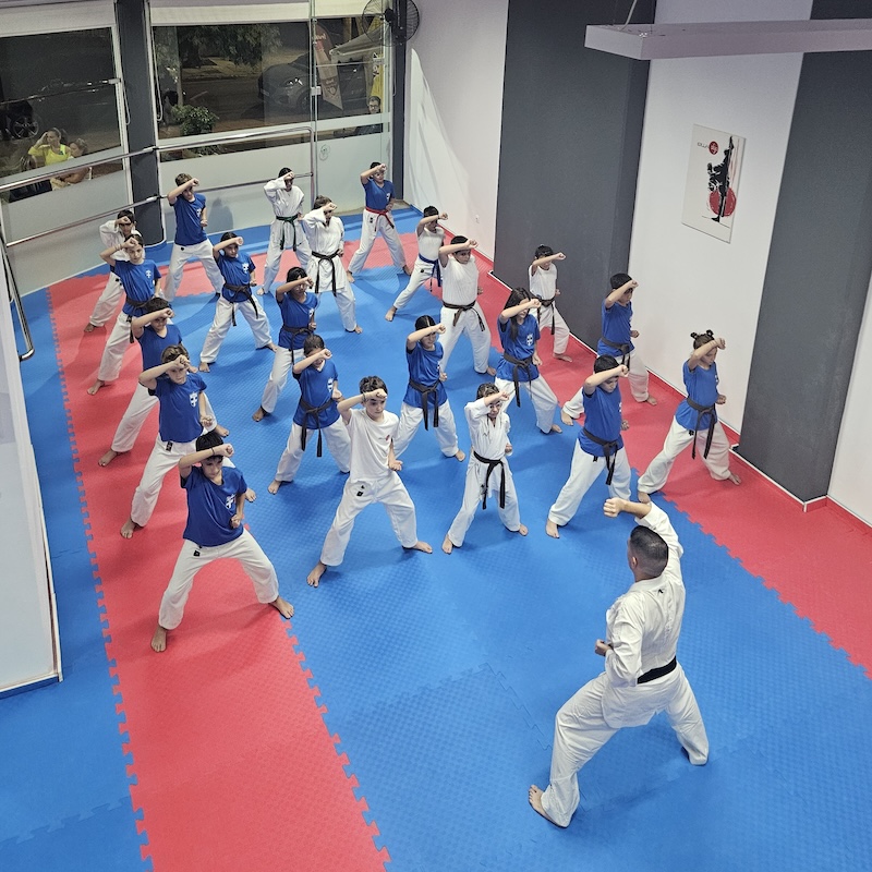 Wado Karate Ελληνικού