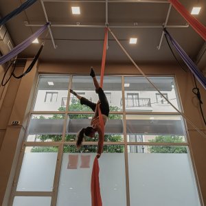 Aerial Arts