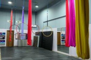 Venus Yoga & Aerial place