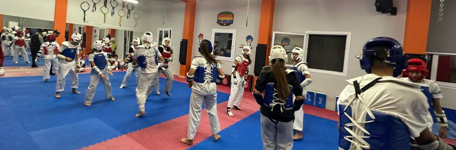 Tae Kwon Do Α.Π.Σ Δραπετσώνας