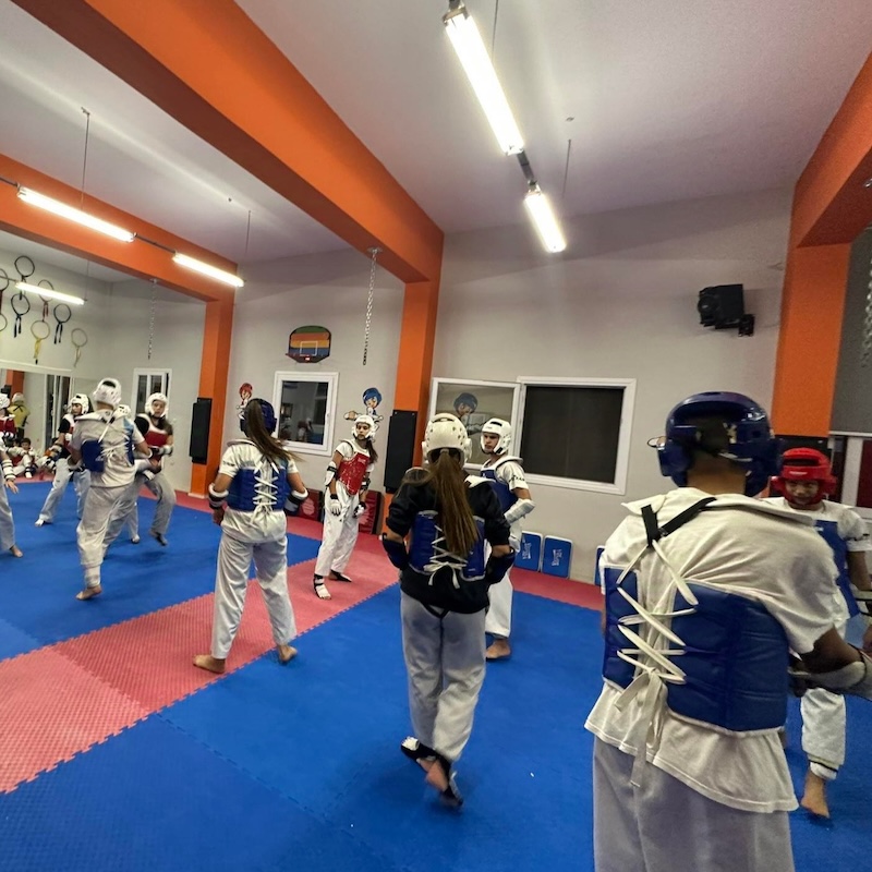 Tae Kwon Do Α.Π.Σ Δραπετσώνας