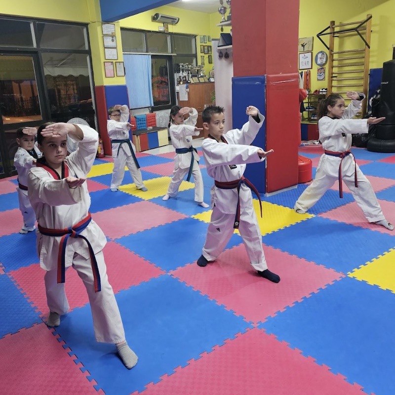 Taekwondo Vasilikou