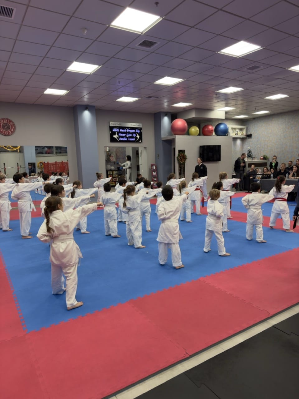 athens-training-hall-amilla-katate-athina-exetaseis-proagogis-zonon-2024-1