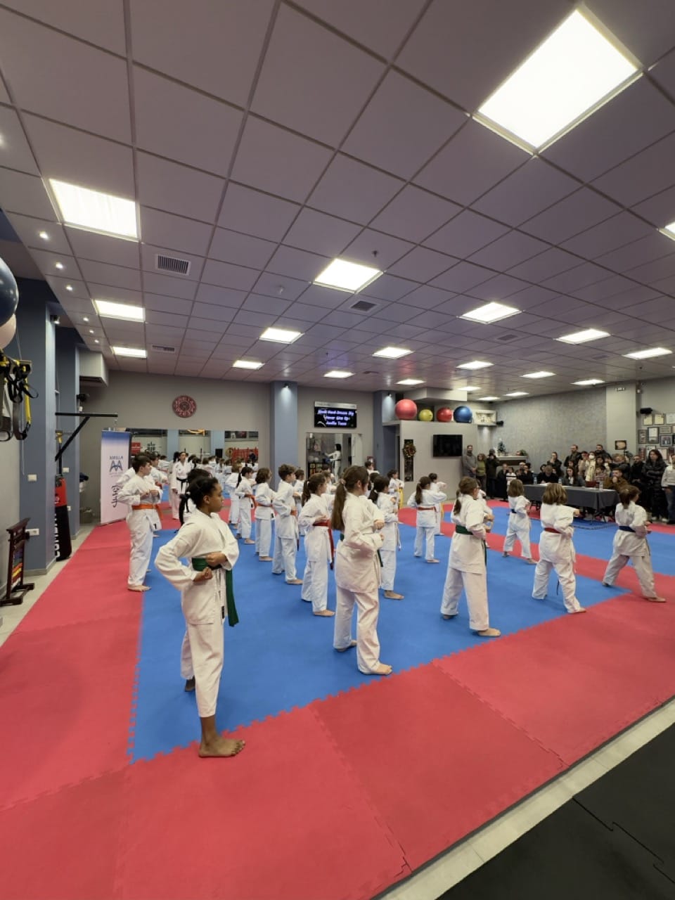 athens-training-hall-amilla-katate-athina-exetaseis-proagogis-zonon-2024-3