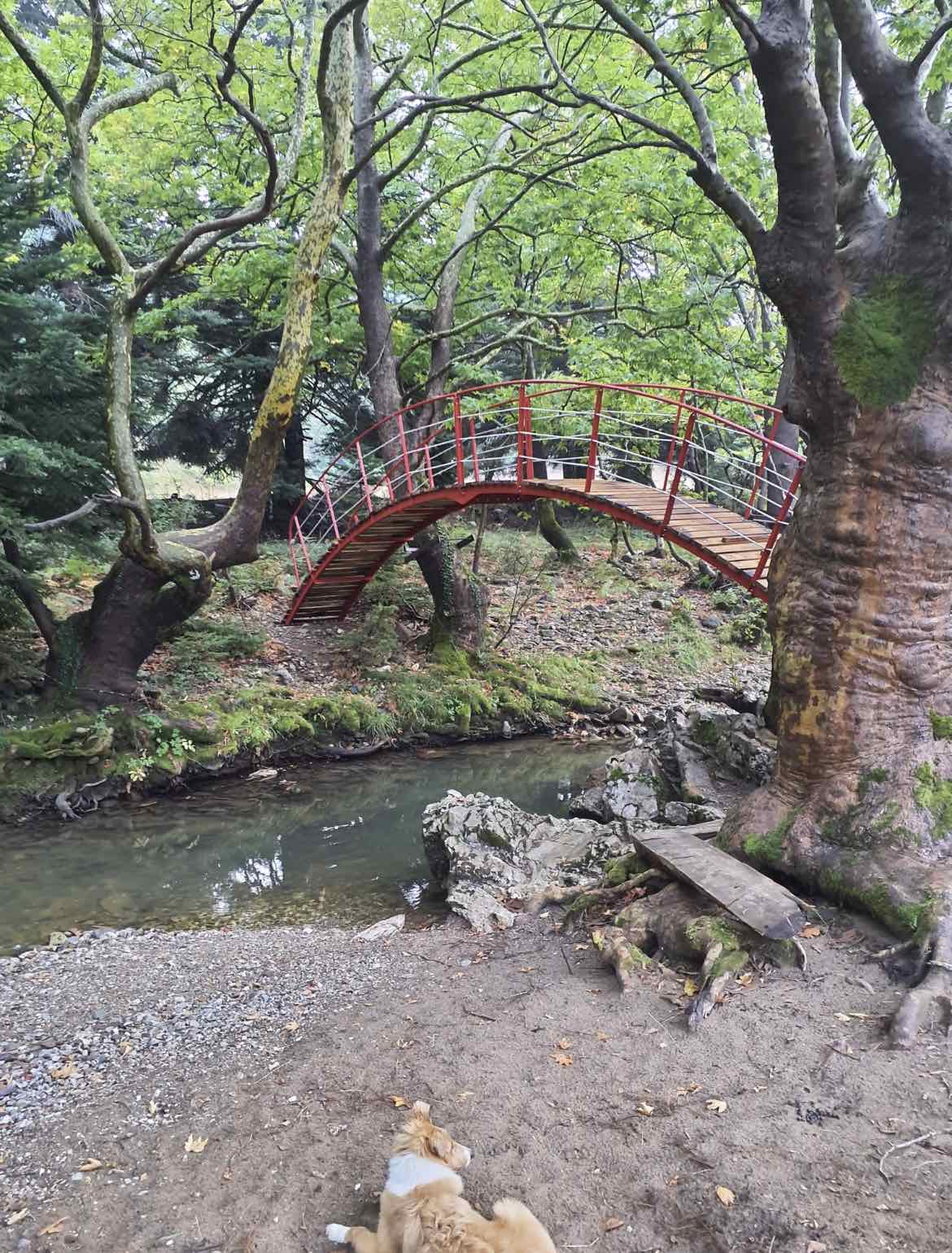 just-breathe-yoga-retreat-eyoia-sportshunter-2