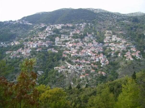 move-your-life-retreats-glyfada-sportshunter-11