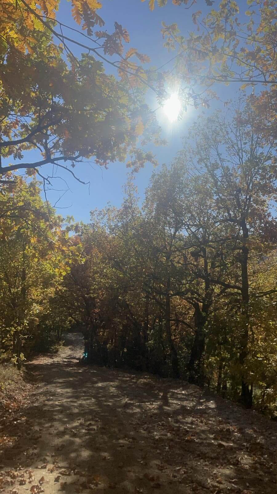 move-your-life-retreats-glyfada-sportshunter-limni-plastira-2