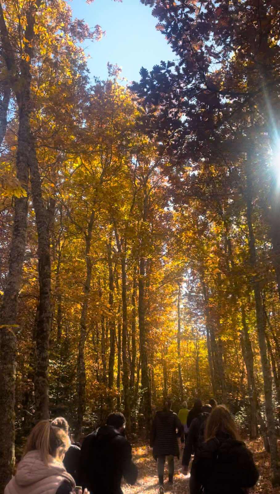 move-your-life-retreats-glyfada-sportshunter-limni-plastira-4