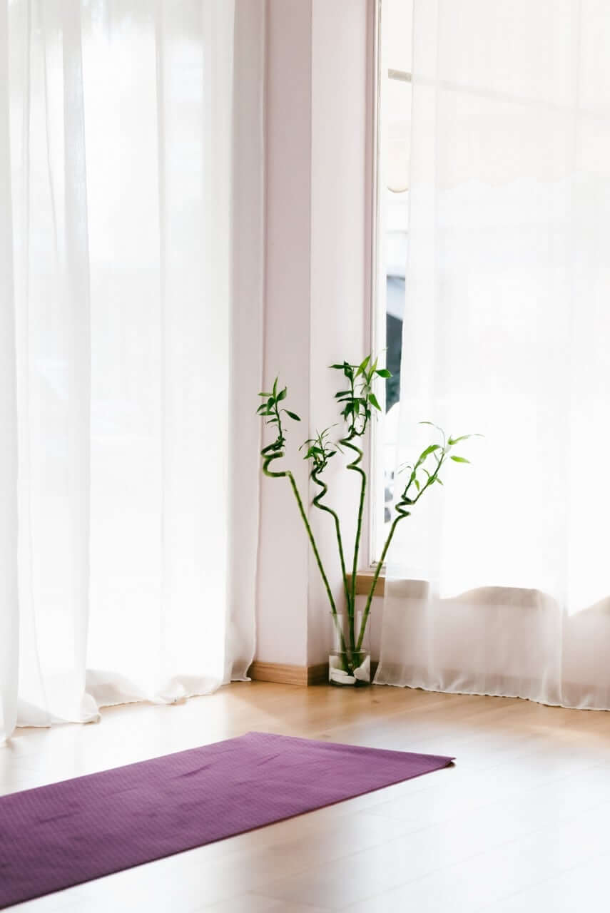 plumeria-yoga-agios-dimitrios-xoros-16