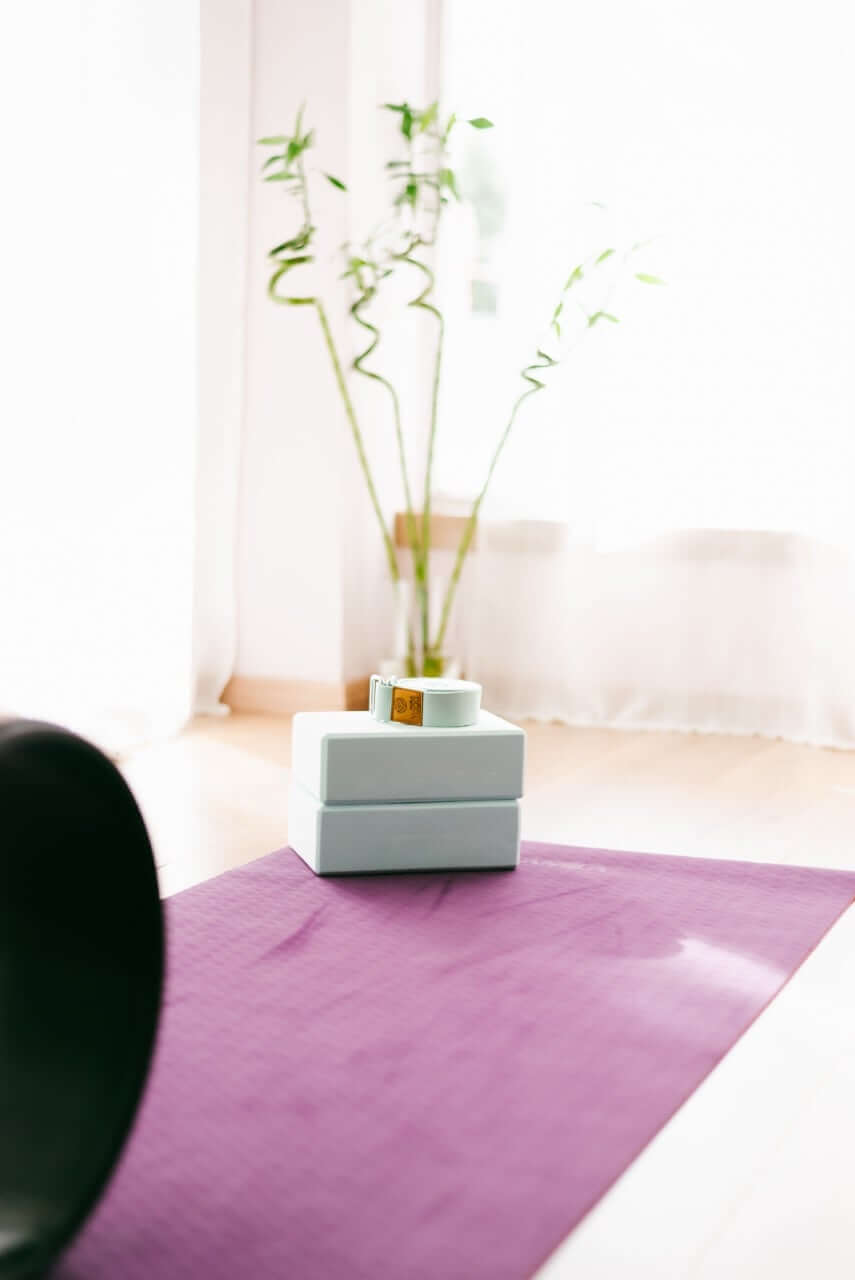 plumeria-yoga-agios-dimitrios-xoros-43