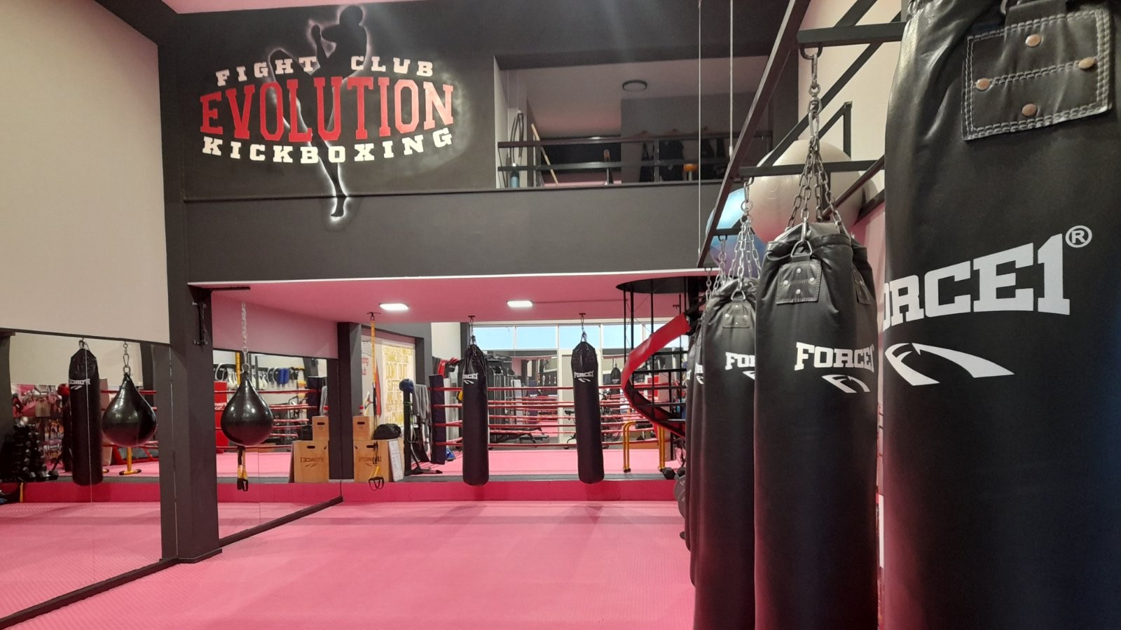 Evolution Fighting Club