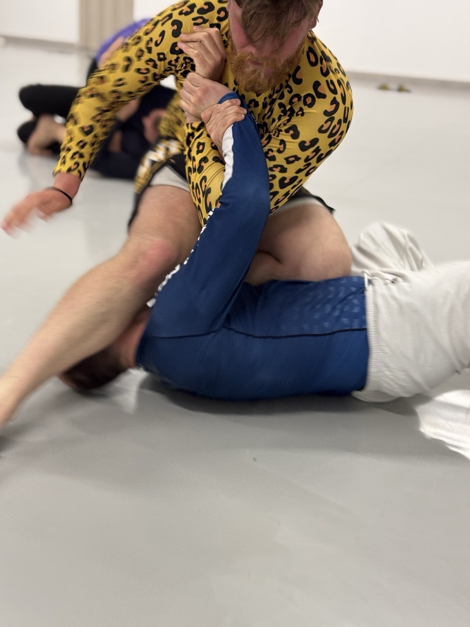 vanguard-school-brazilian-jiu-jitsu-larisa-no-gi-sportshunter-4