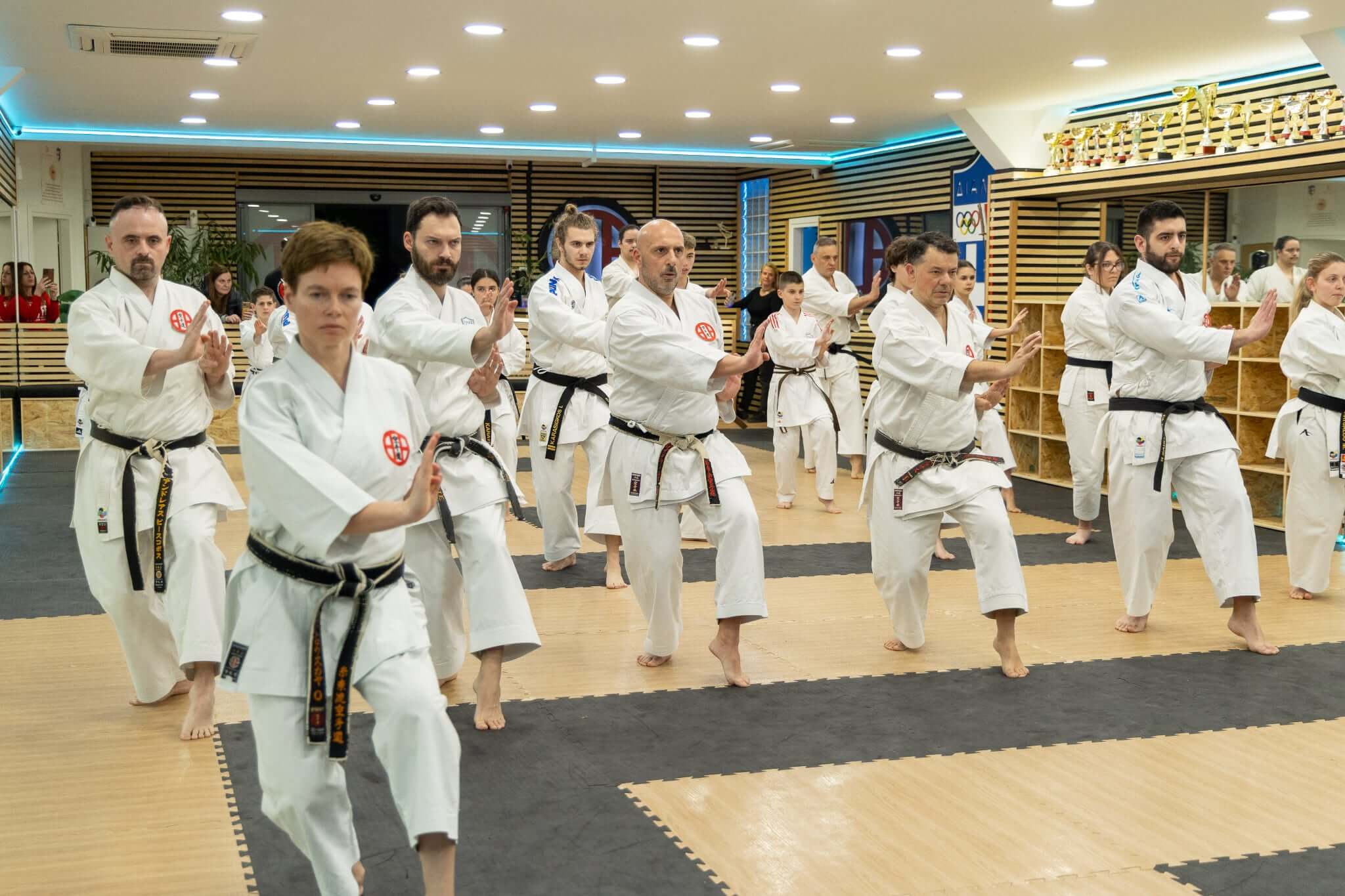 victorious-karate-psachna-seminario-karate-hanshi-iwata-genzo-8-dan-sportshunter-12