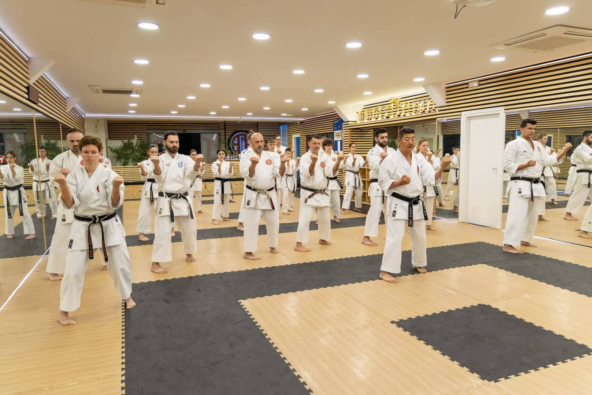 victorious-karate-psachna-seminario-karate-hanshi-iwata-genzo-8-dan-sportshunter-14