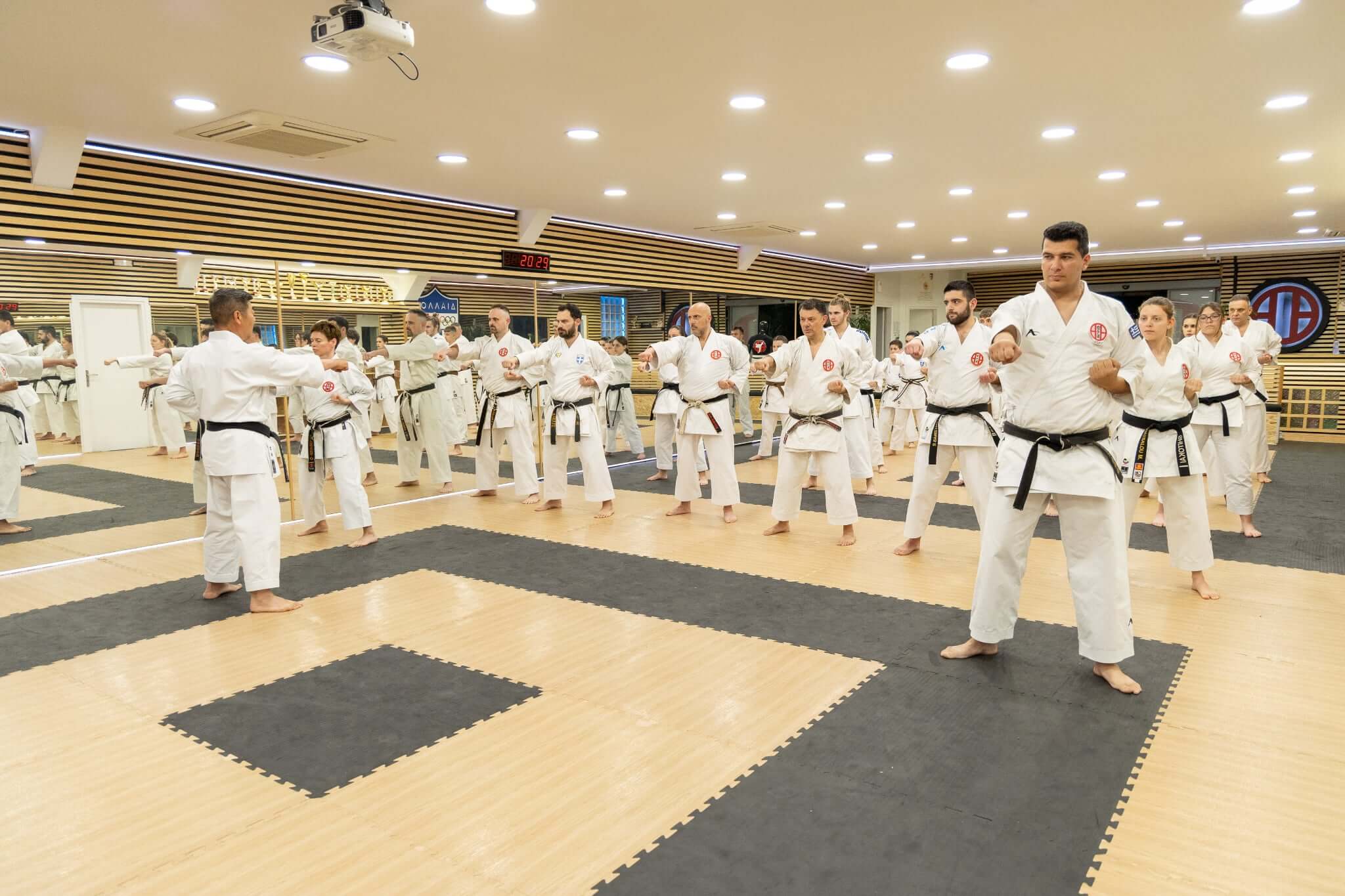 victorious-karate-psachna-seminario-karate-hanshi-iwata-genzo-8-dan-sportshunter-15