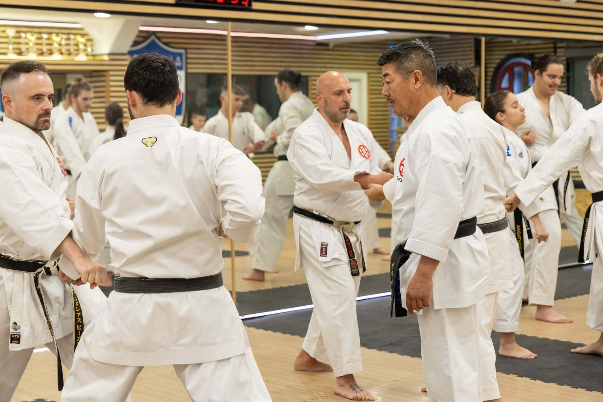 victorious-karate-psachna-seminario-karate-hanshi-iwata-genzo-8-dan-sportshunter-6