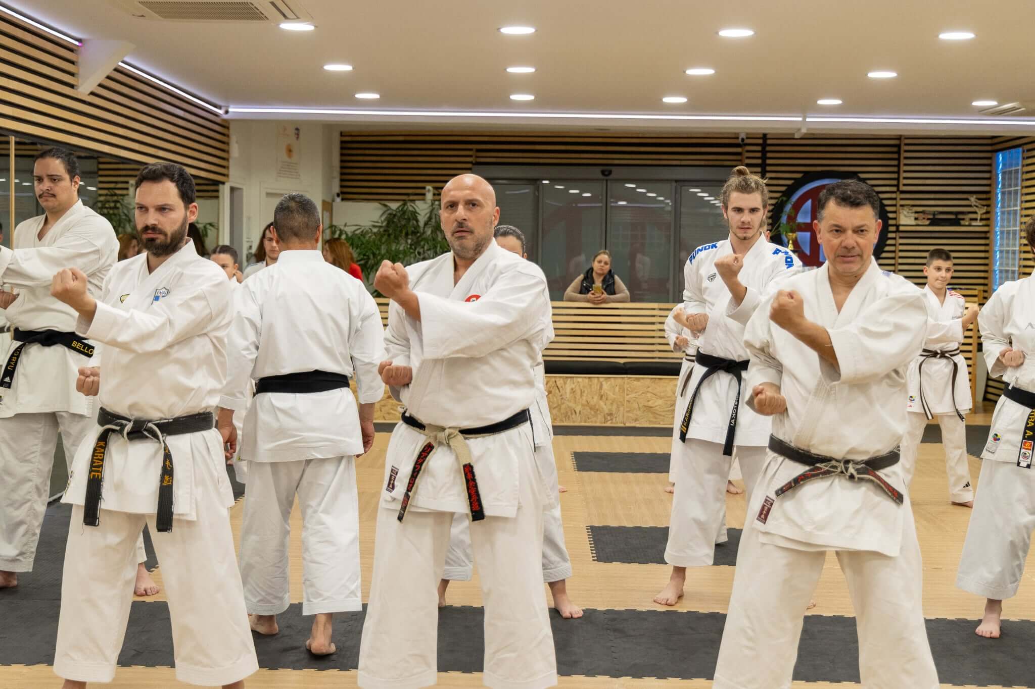 victorious-karate-psachna-seminario-karate-hanshi-iwata-genzo-8-dan-sportshunter-9