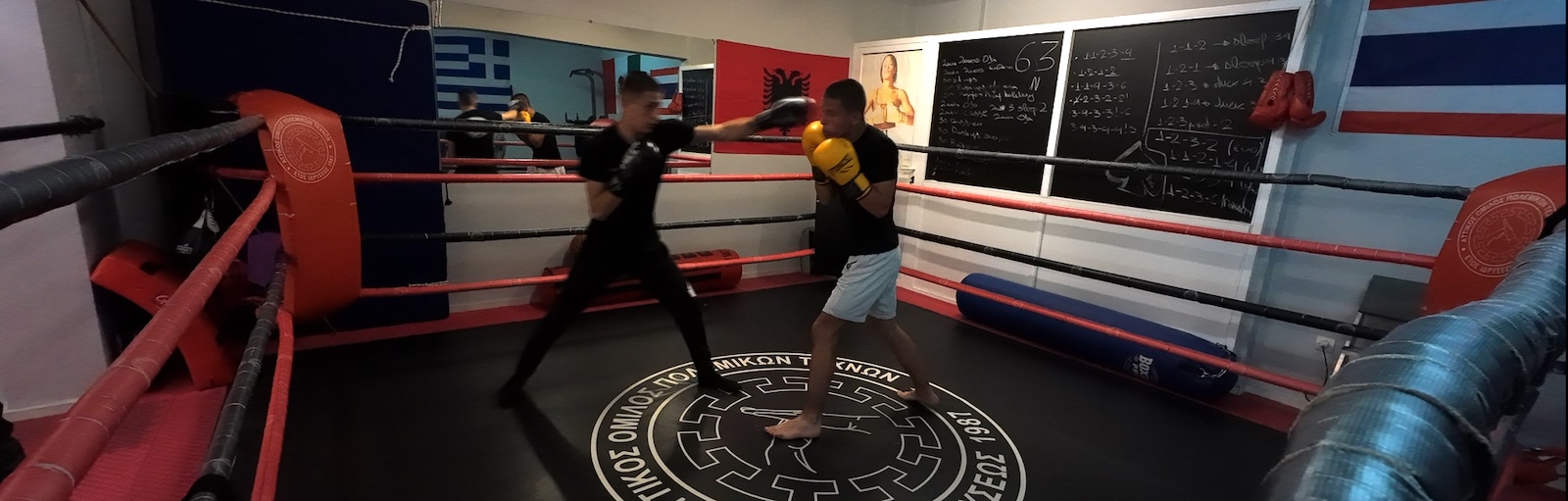 Αττικός Όμιλος Πολεμικών Τεχνών