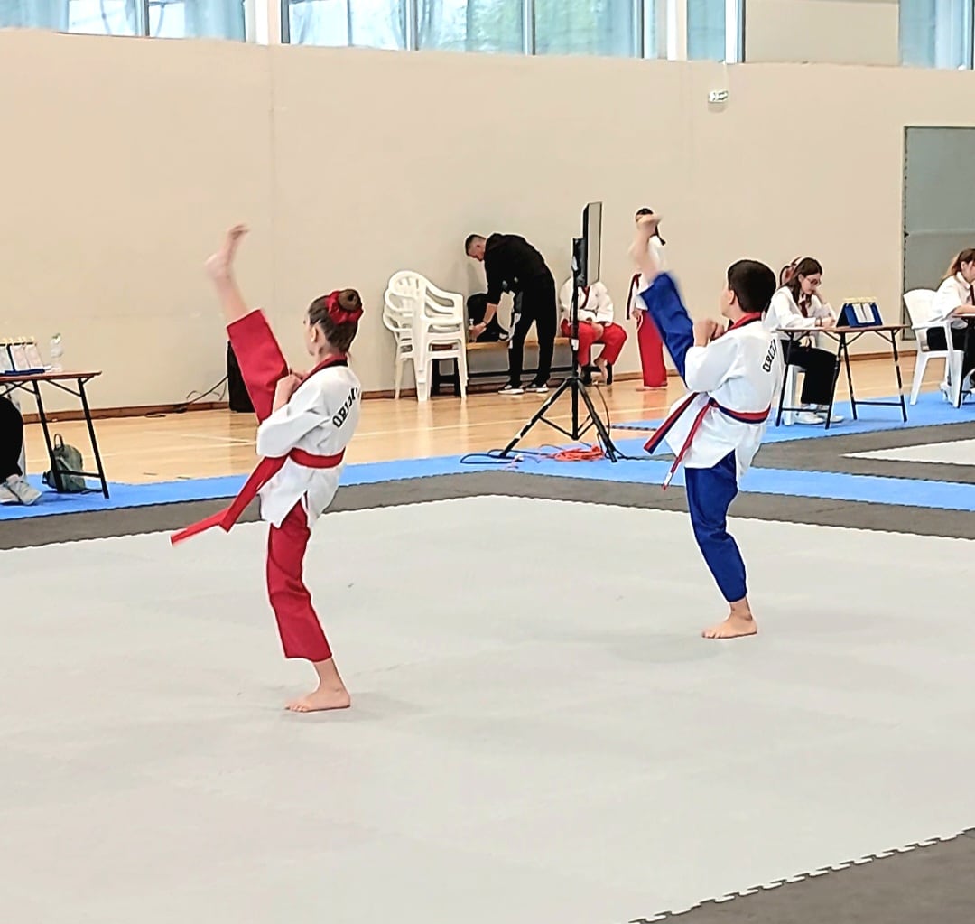 orion-toubas-taekwondo-touba-sportshunter-prokrimatiko-protathlima-poumse-voreioy-ellados-7