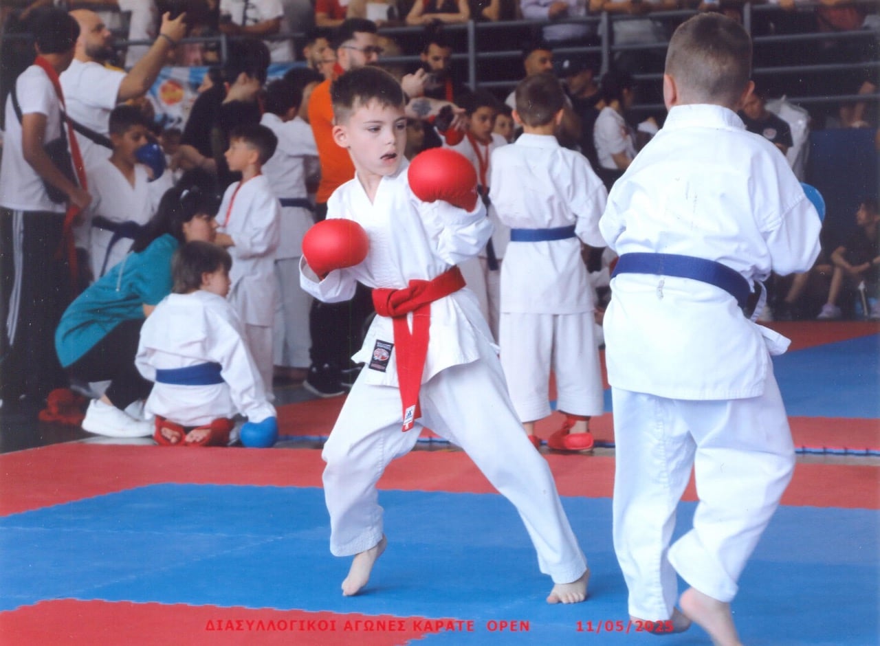 victorious-karate-psachna-sportshunter-diasylogiko-11