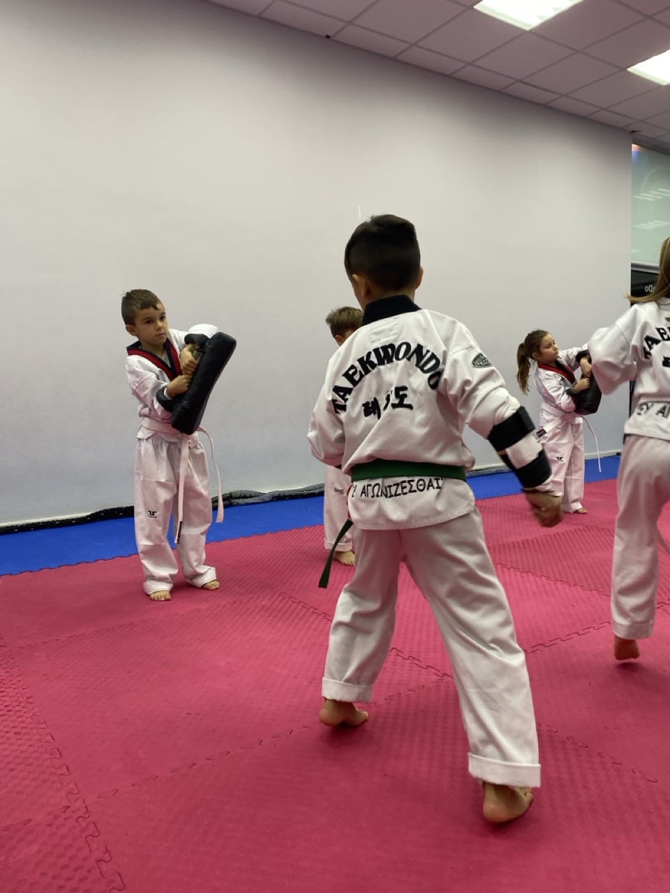 y-agonizesthai-taekwondo-palaio-faliro-sportshunter-12