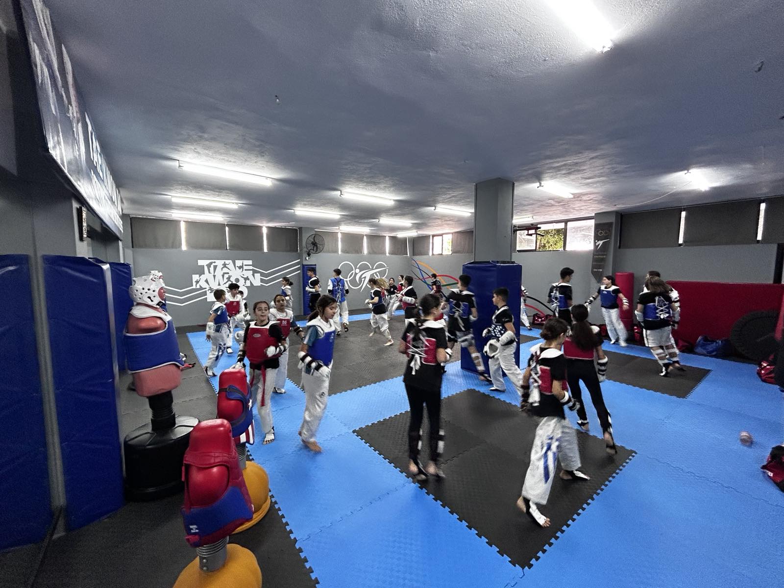 kolossos-rodou-taekwondo-rodos-sportshunter-21