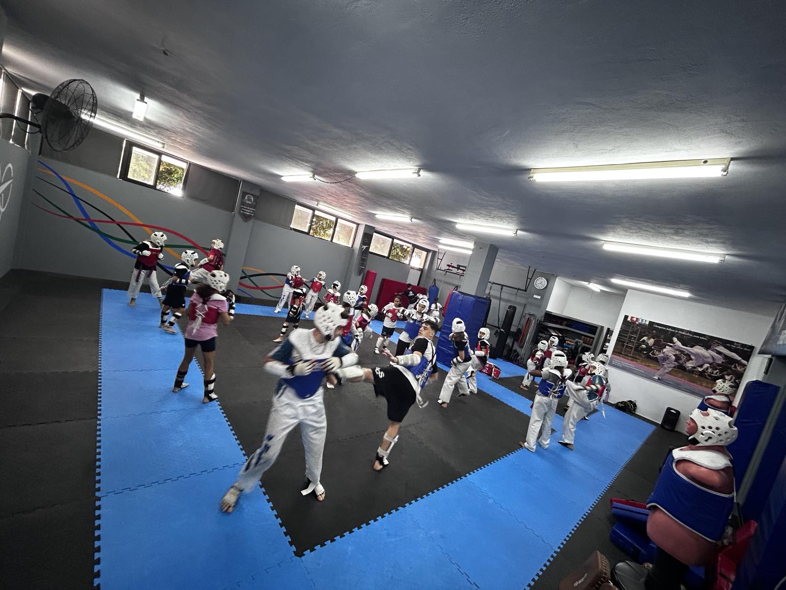 kolossos-rodou-taekwondo-rodos-sportshunter-31