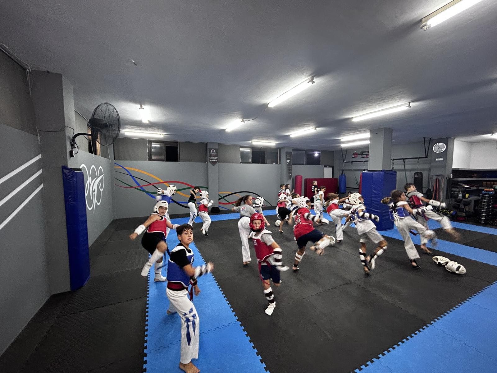 kolossos-rodou-taekwondo-rodos-sportshunter-8