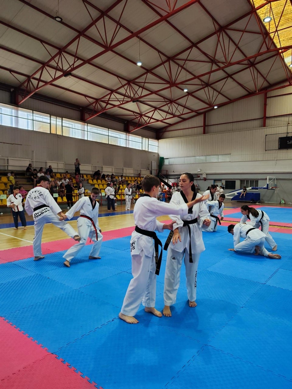 orion-taekwondo-touba-sportshunter-eksetaseis-mayron-zonon-1