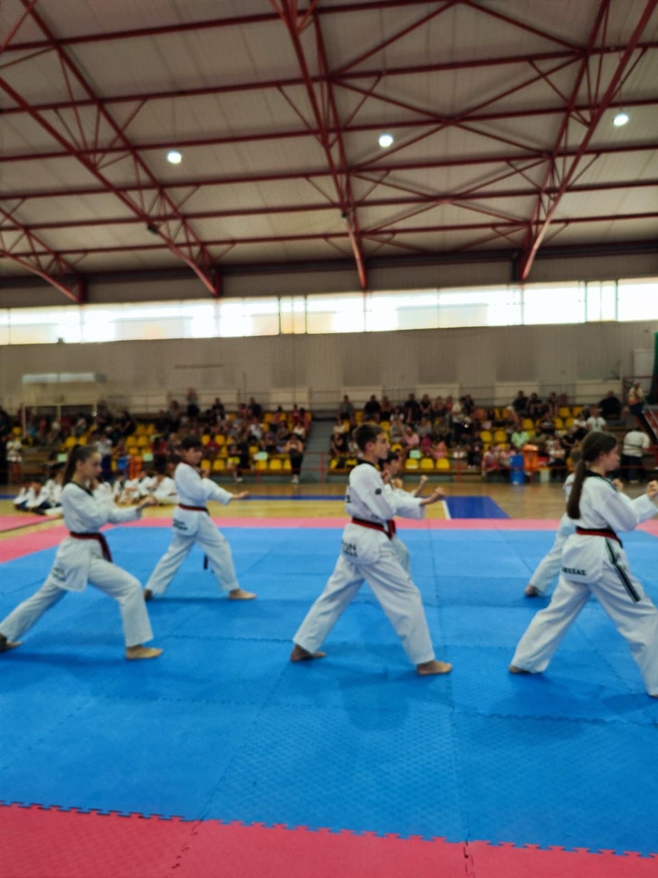 orion-taekwondo-touba-sportshunter-eksetaseis-mayron-zonon-2