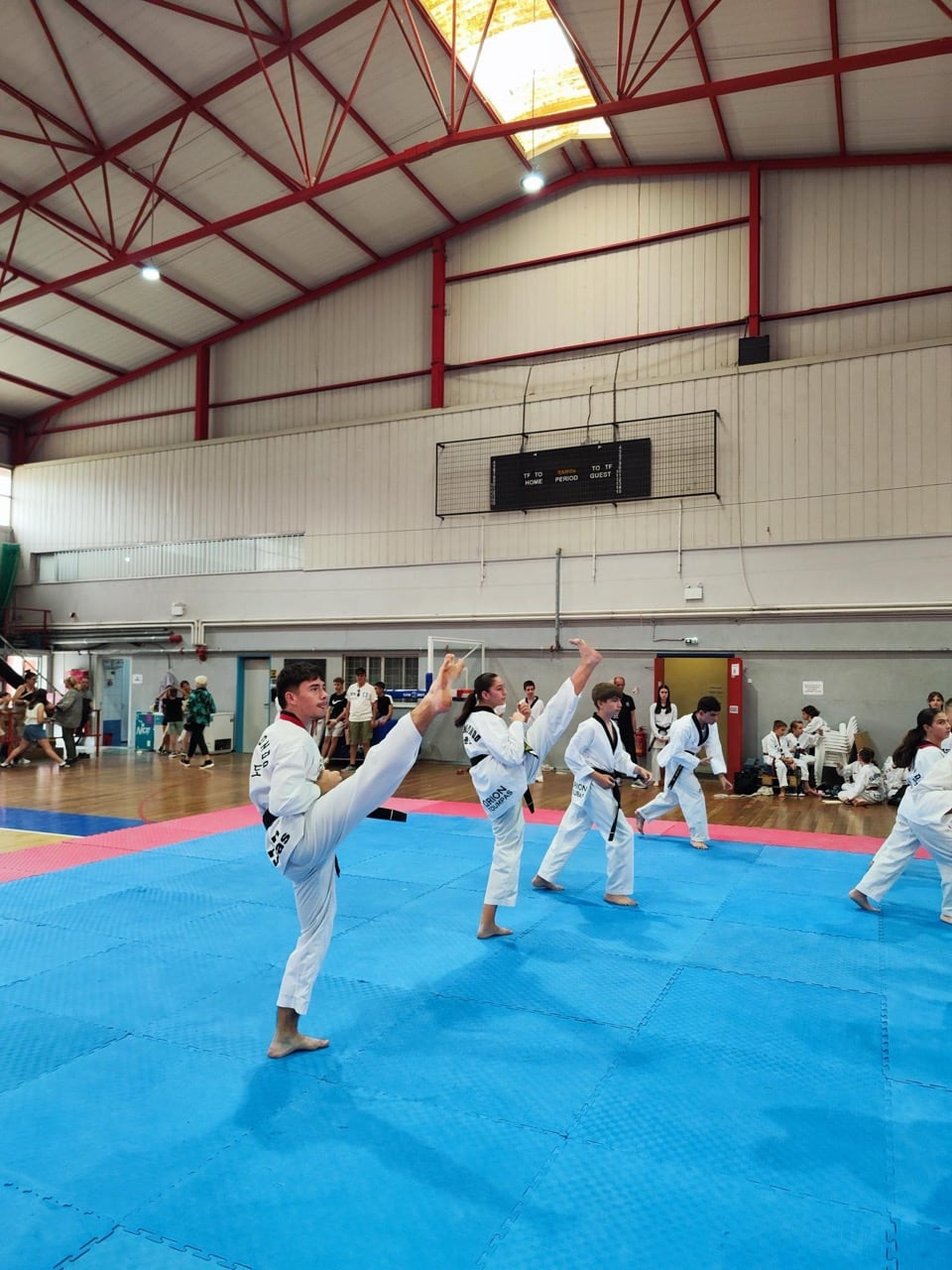 orion-taekwondo-touba-sportshunter-eksetaseis-mayron-zonon-3