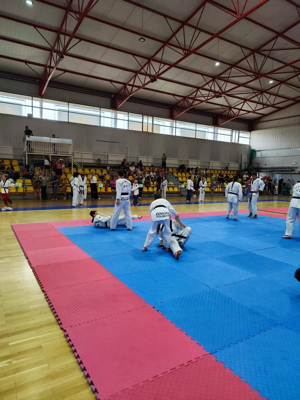 orion-taekwondo-touba-sportshunter-eksetaseis-mayron-zonon-5