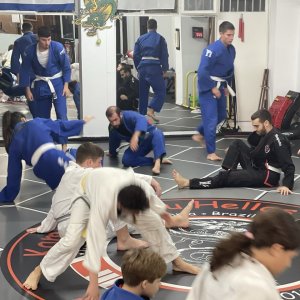 Brazilian Jiu Jitsu (BJJ)