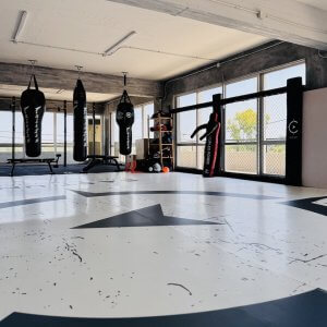 Brazilian Jiu Jitsu (BJJ)