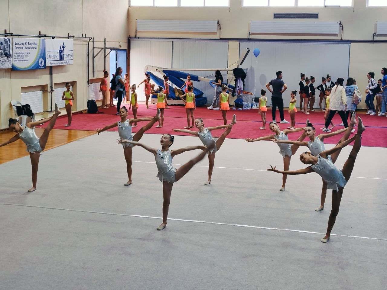 serg-dramas-and-rg-artemis-dramas-aisthitiki-omadiki-gymnastiki-drama-sportshunter-3